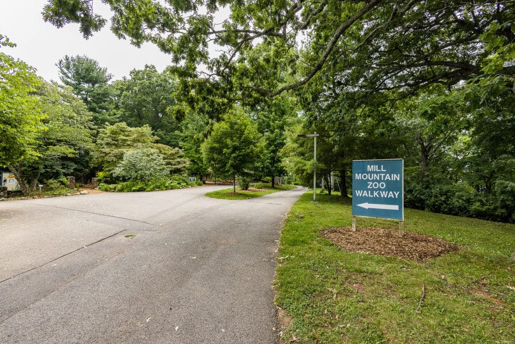 mill-mountain-wildflower-garden-006