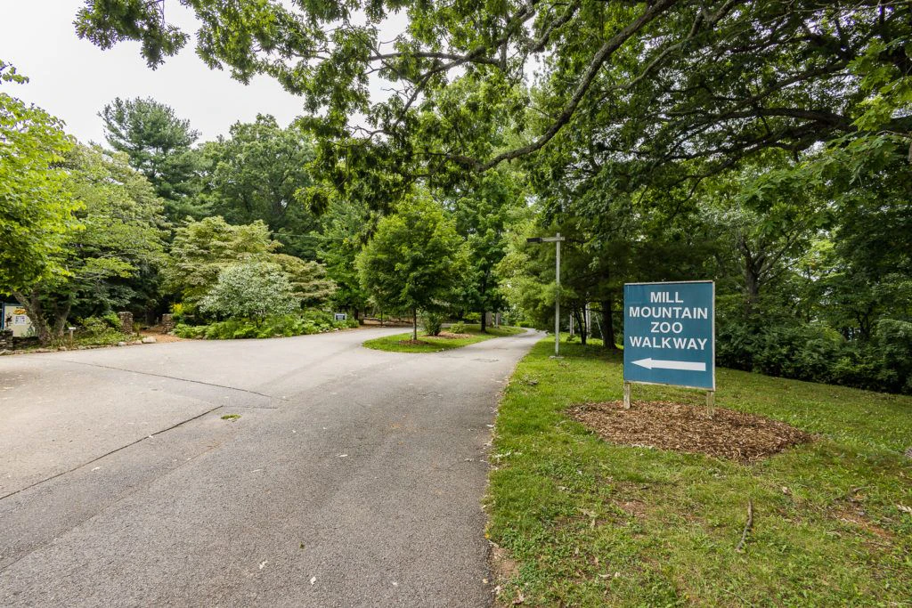 mill-mountain-wildflower-garden-006