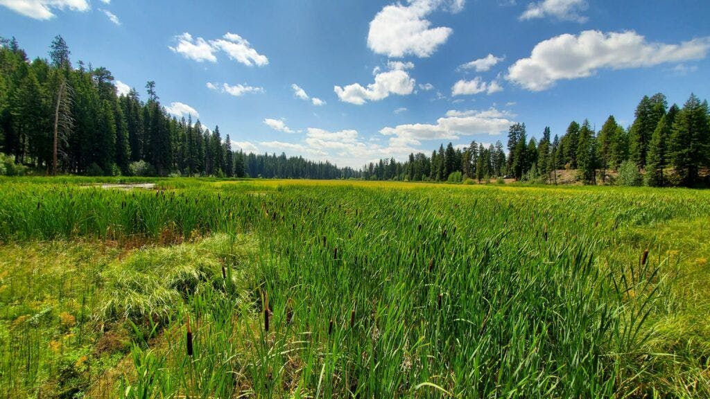 ponderosa-state-park-003