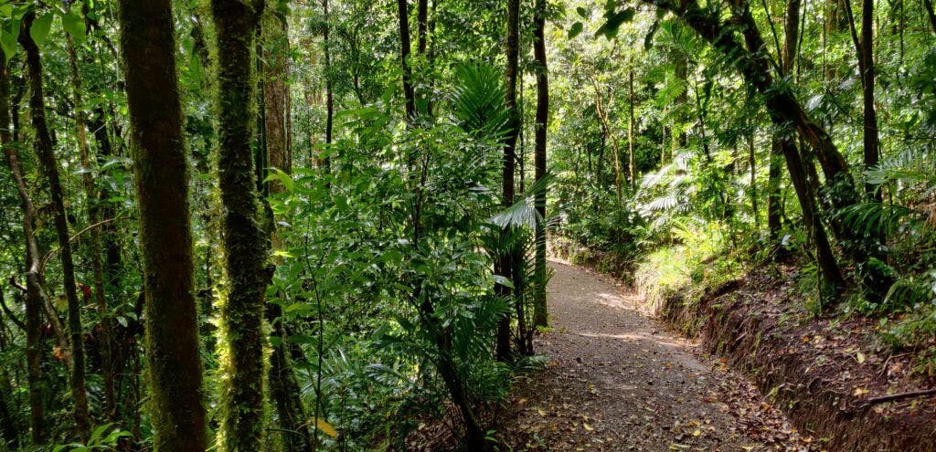 curi-cancha-reserve-002