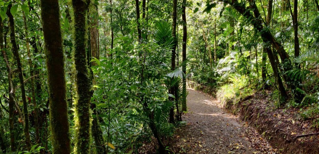 curi-cancha-reserve-002