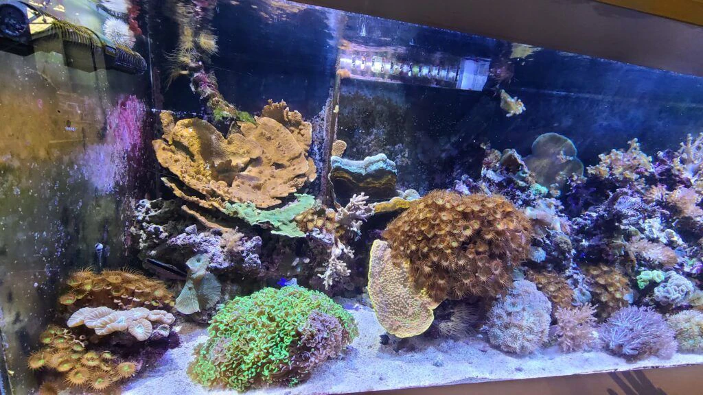 great-lakes-aquarium-004