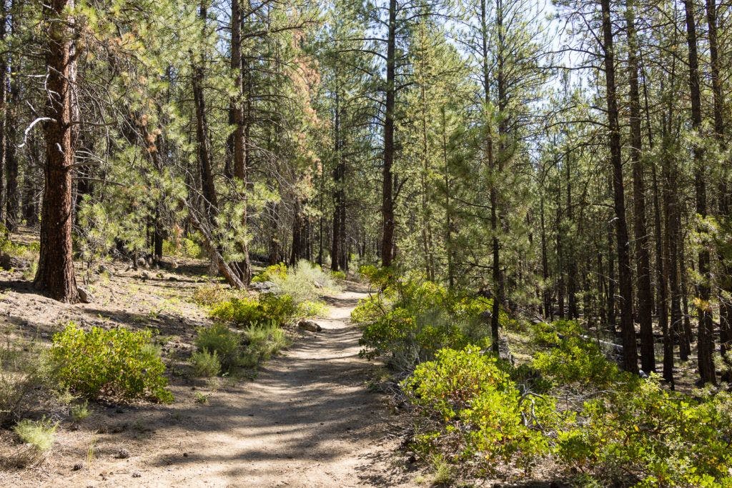 natural-water-slides-hike-and-paulina-plunge-tour-015