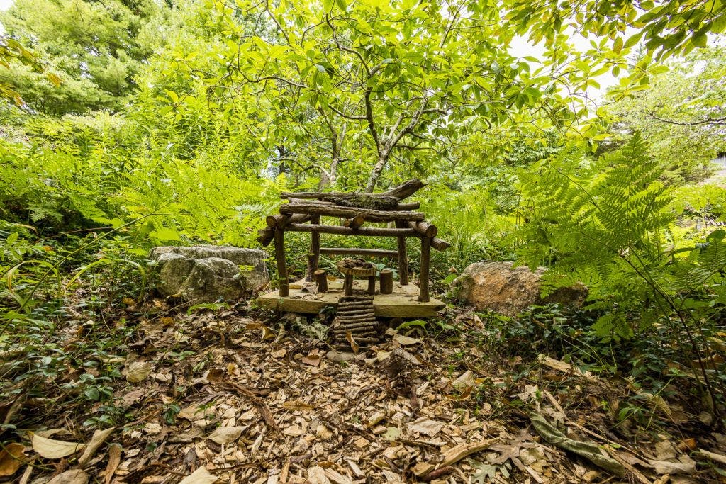 mill-mountain-wildflower-garden-003