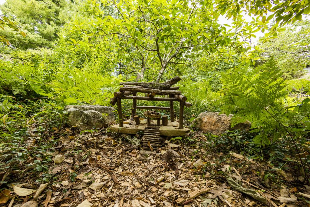 mill-mountain-wildflower-garden-003