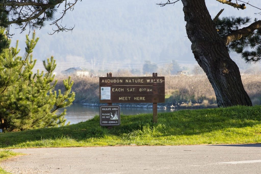 arcata-marsh-and-wildlife-sanctuary-010