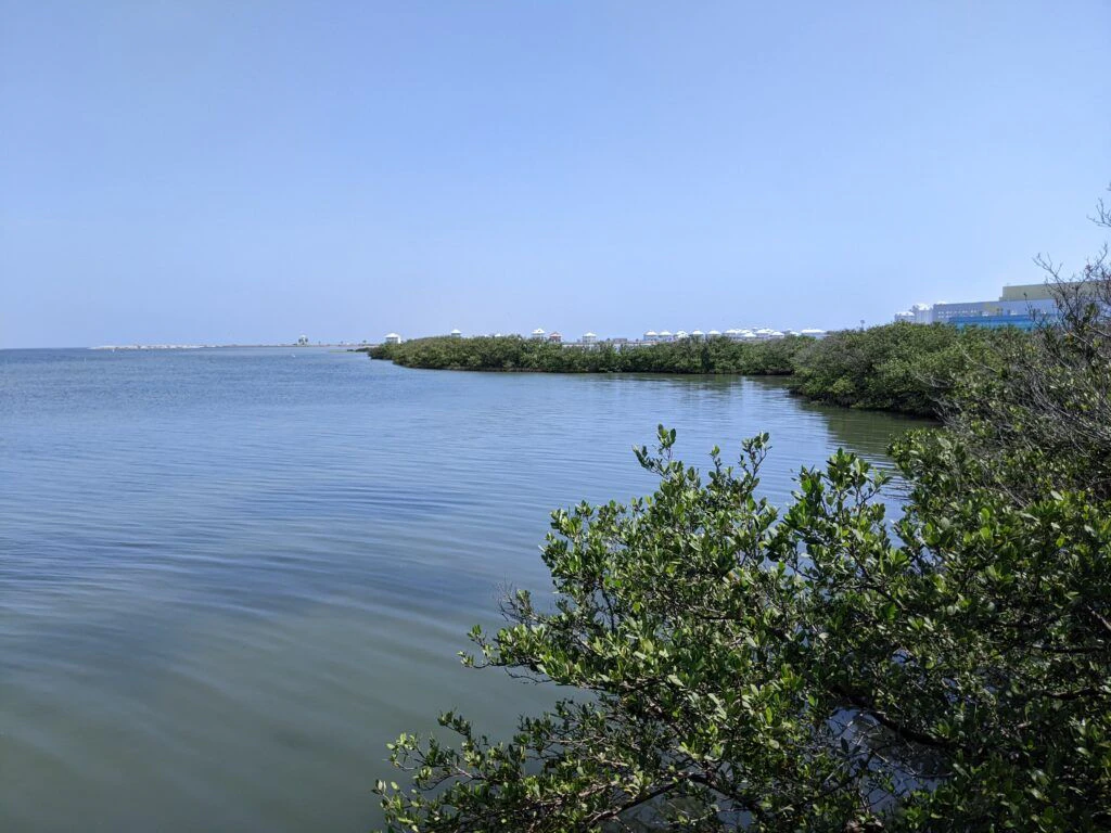 laguna-madre-nature-trail-003