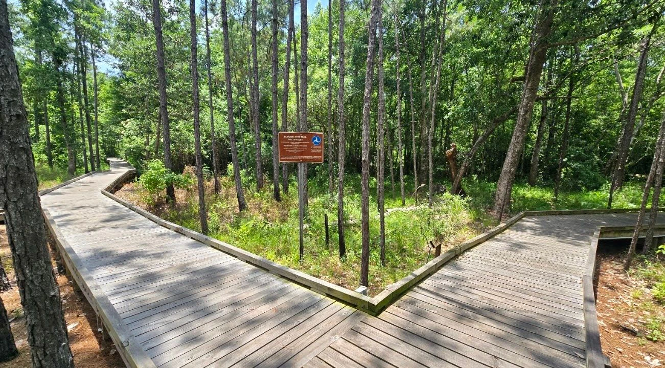 Graham Creek 3.jpeg