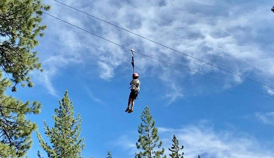Treetop 1.jpeg