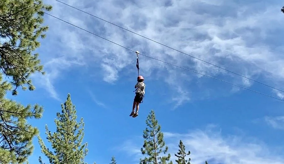 Treetop 1.jpeg