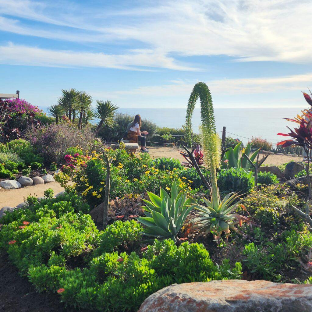self-realization-fellowship-meditation-gardens-006