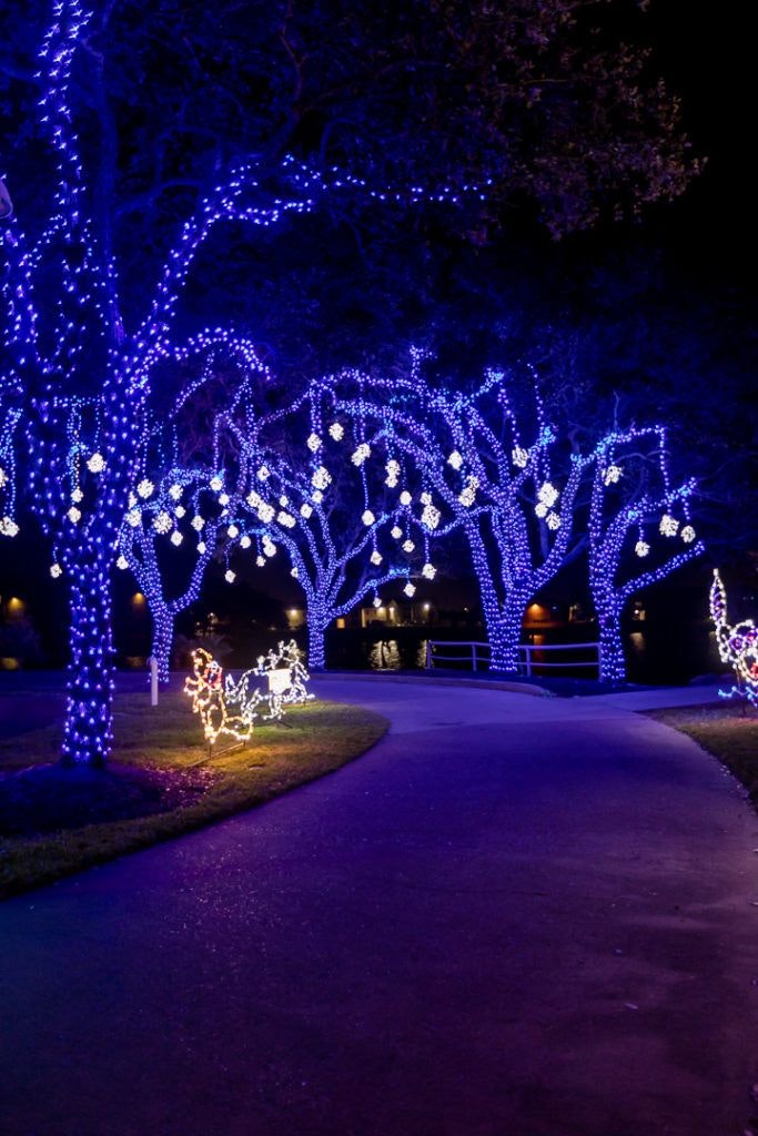 holiday-in-the-gardens-011