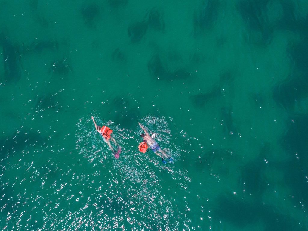 bird-island-isla-san-jorge-008