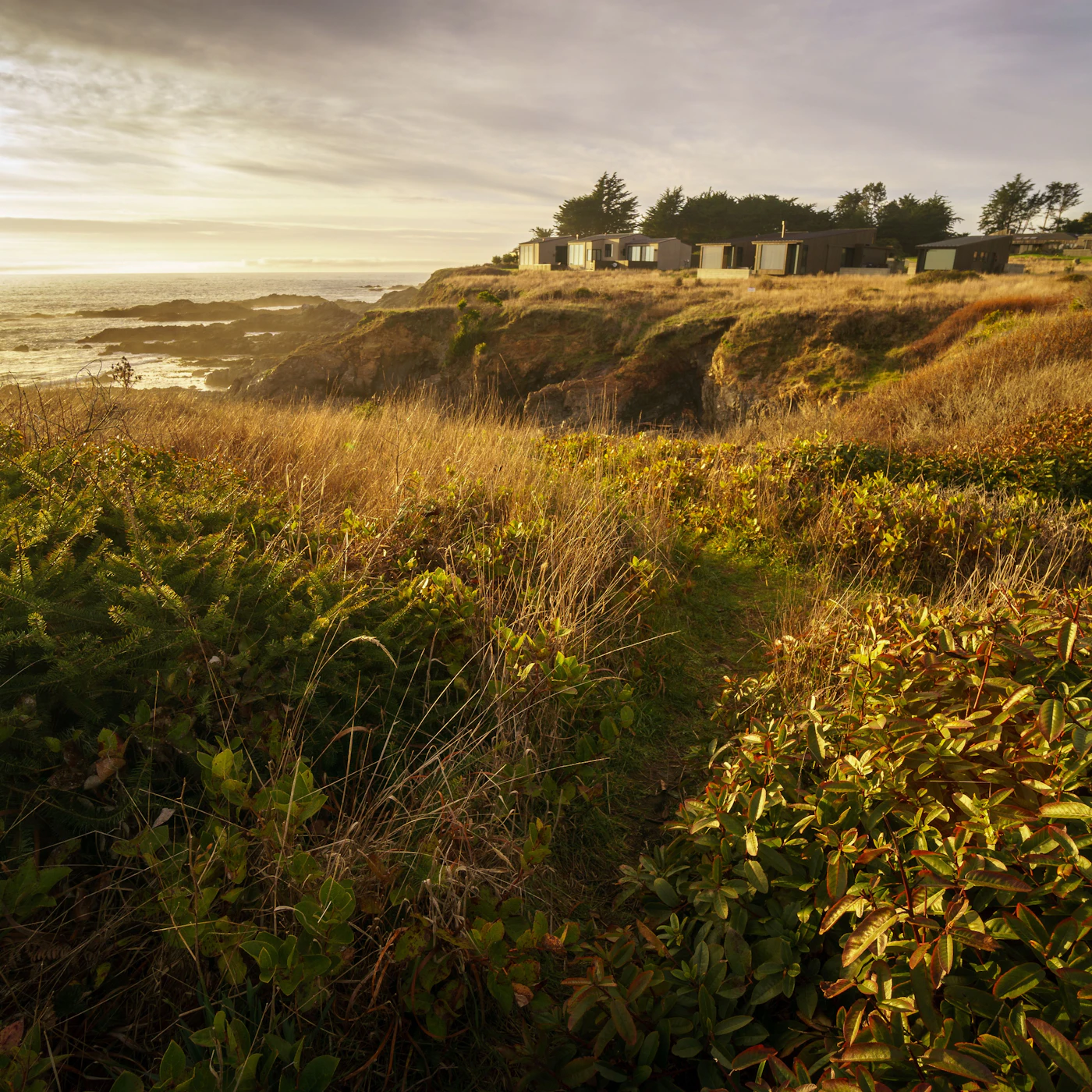 AdobeStock_205466219.jpeg