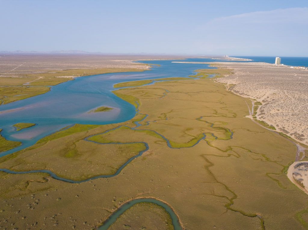 las-conchas-community-004