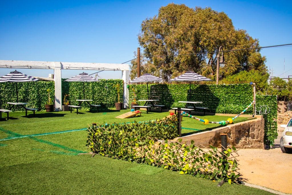 grapes-and-barley-019