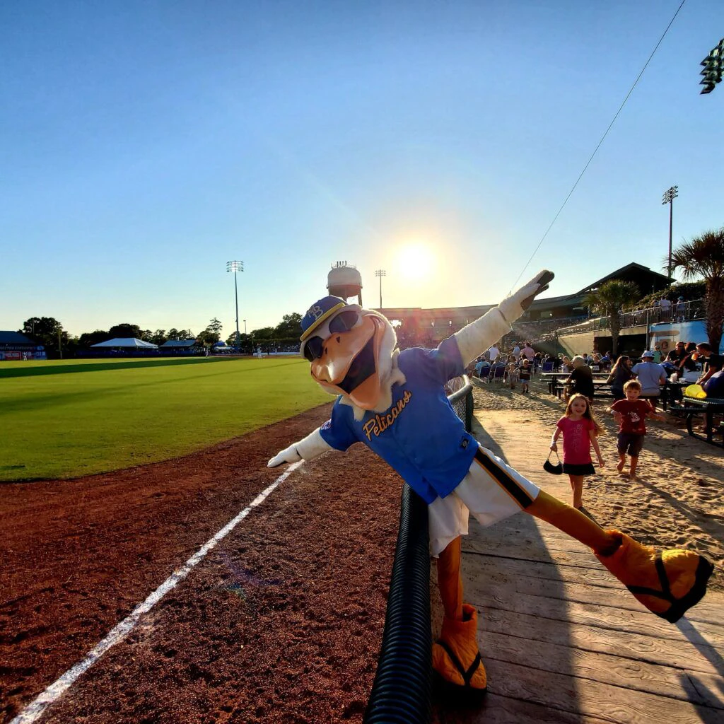 myrtle-beach-pelicans-baseball-004