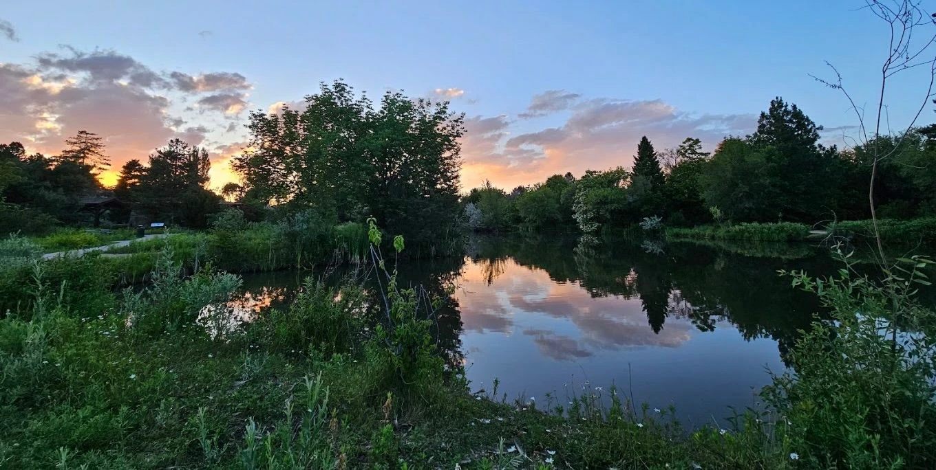 Kathyrn Park 1.jpeg