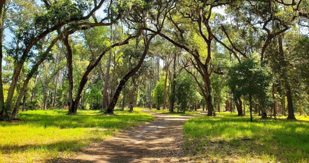 sea-pines-forest-preserve-001