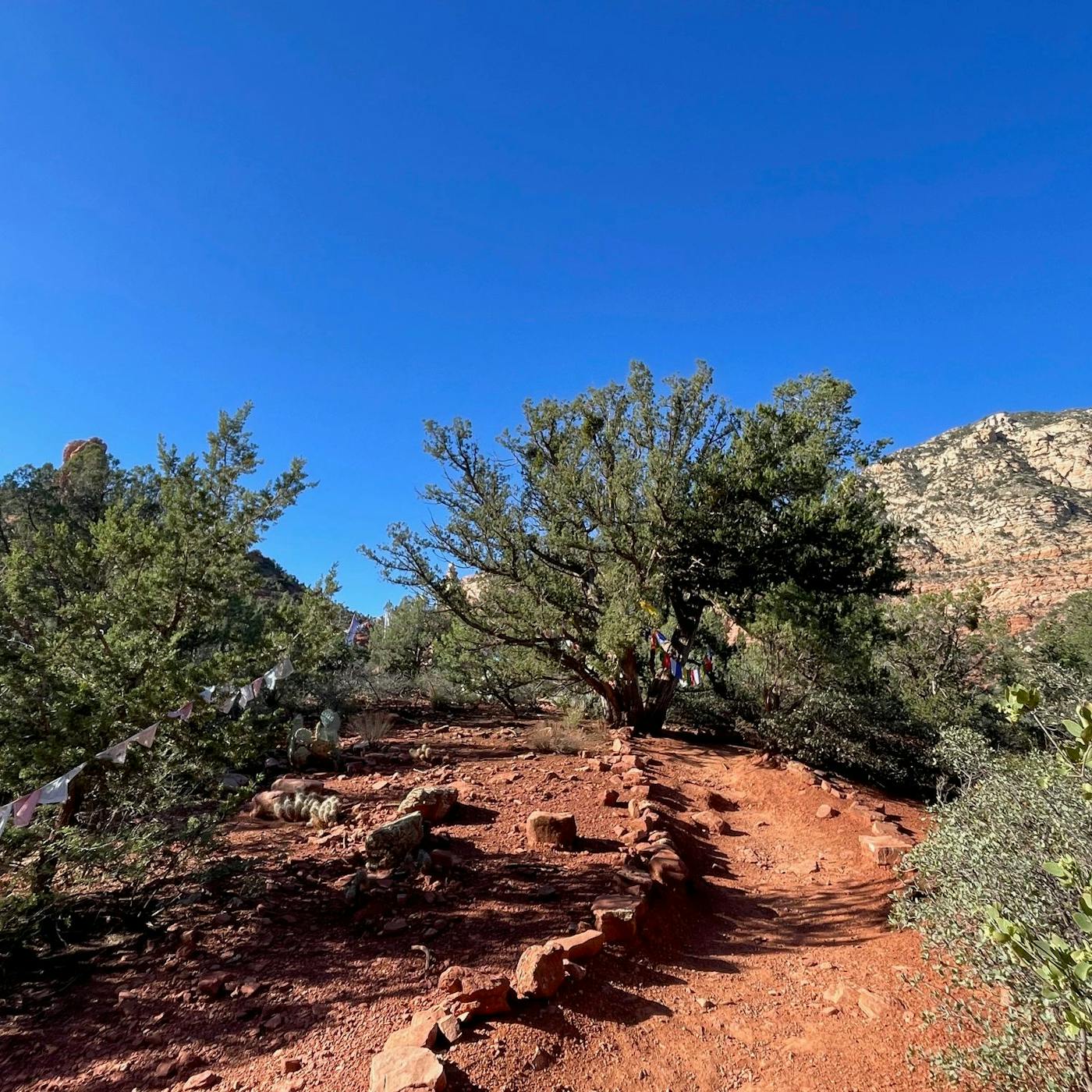 Unique Things to Do in Sedona