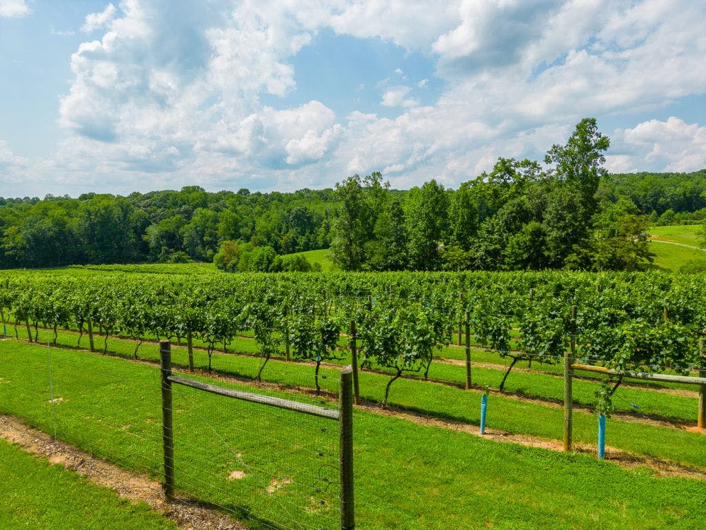 fables-and-feathers-winery-012