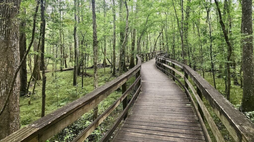 congaree-national-park-002