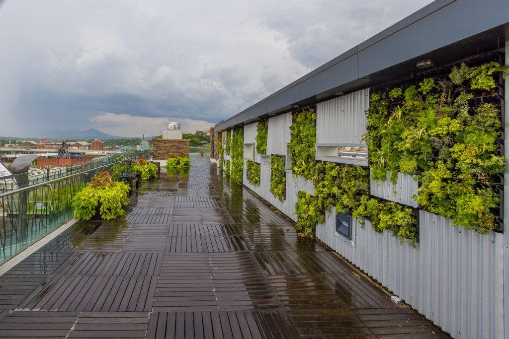 day-trip-to-roanoke-023