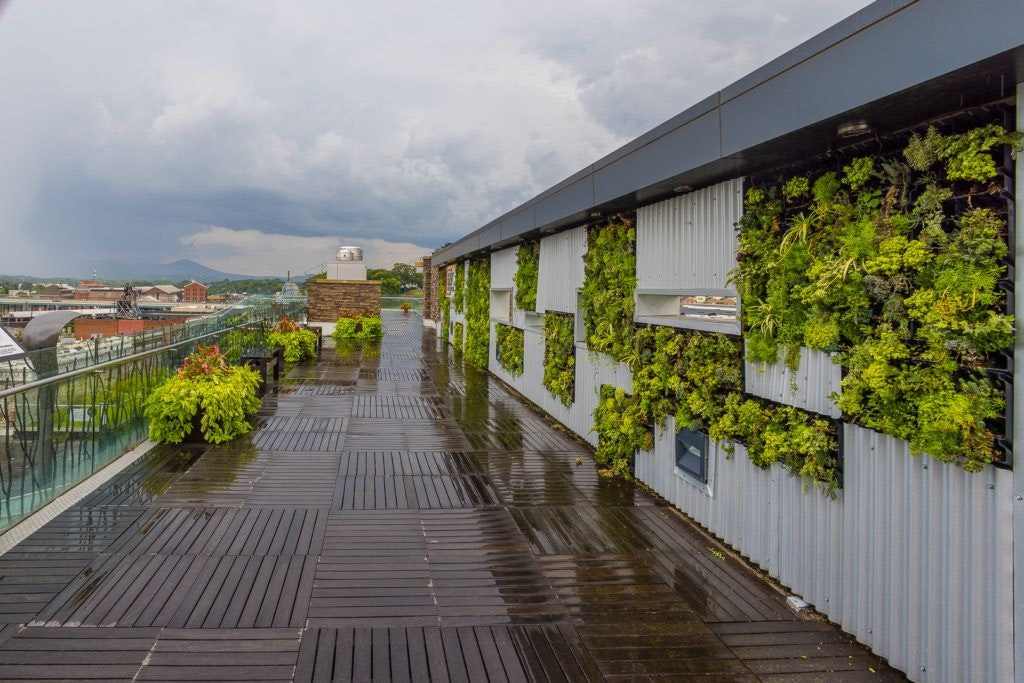 day-trip-to-roanoke-023