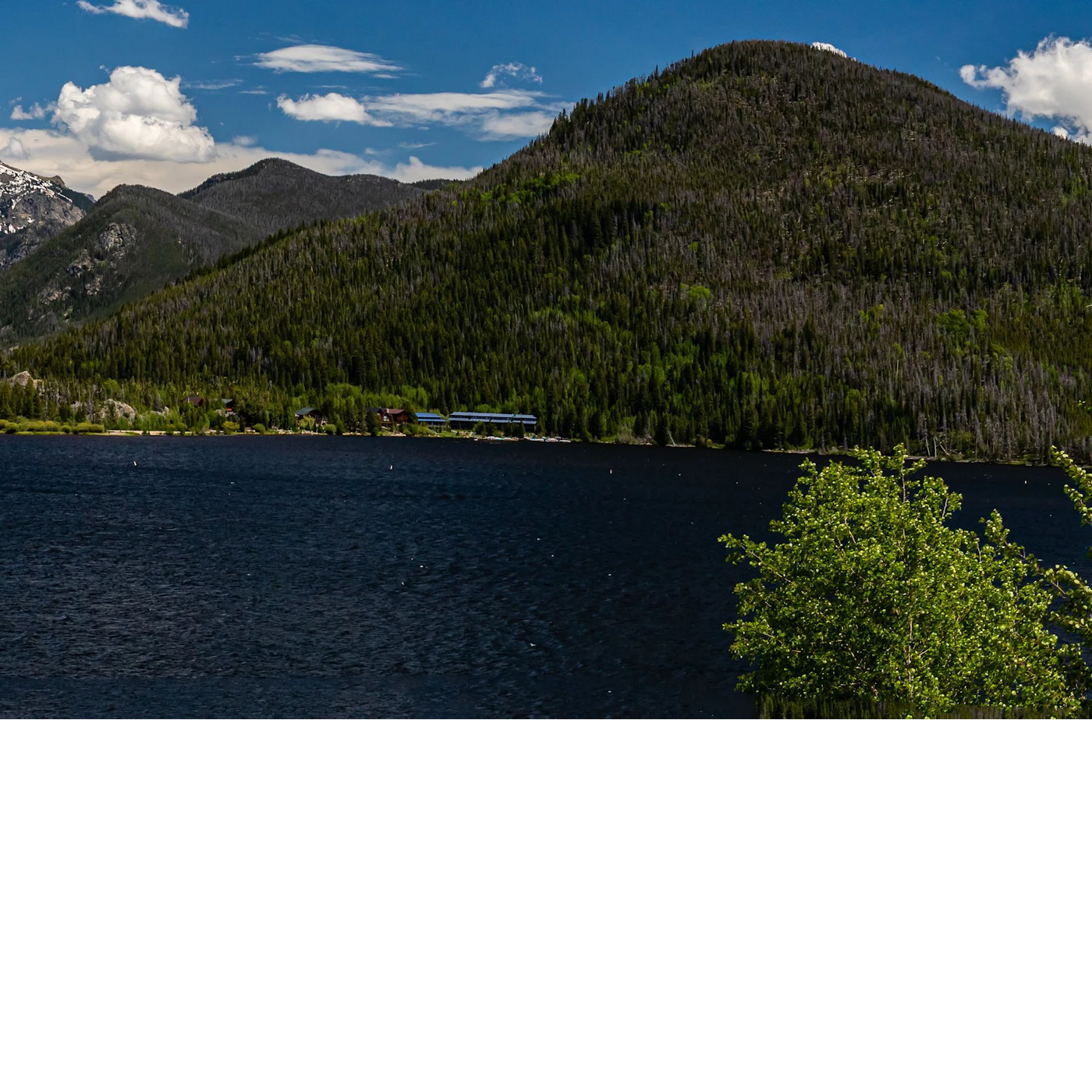 AdobeStock_303230193.jpeg
