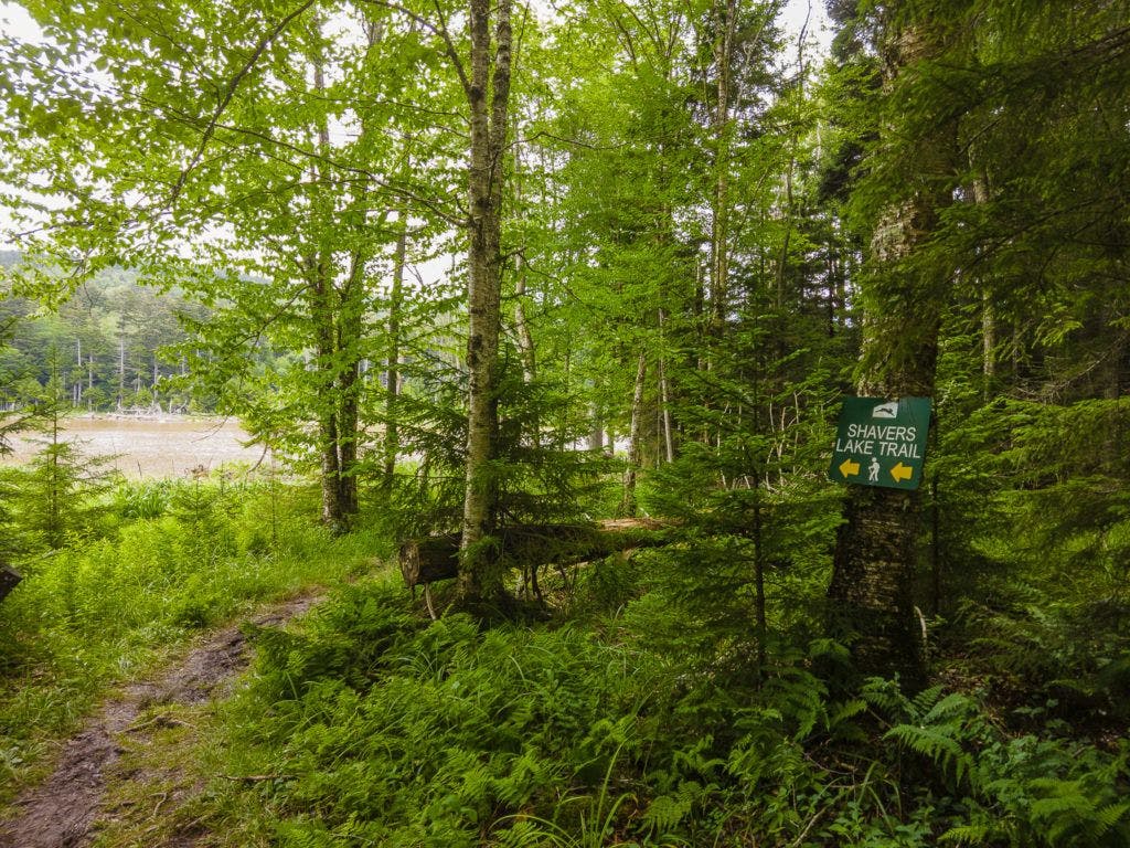 explore-the-snowshoe-mountain-trail-system-005