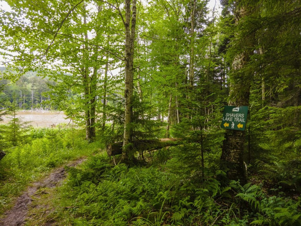 explore-the-snowshoe-mountain-trail-system-005