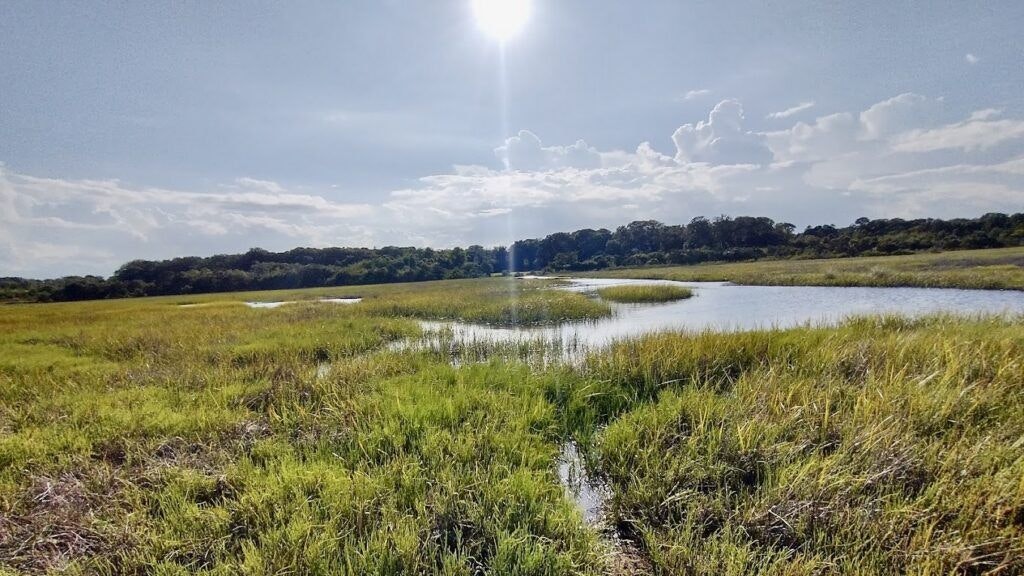 egan-s-creek-greenway-001