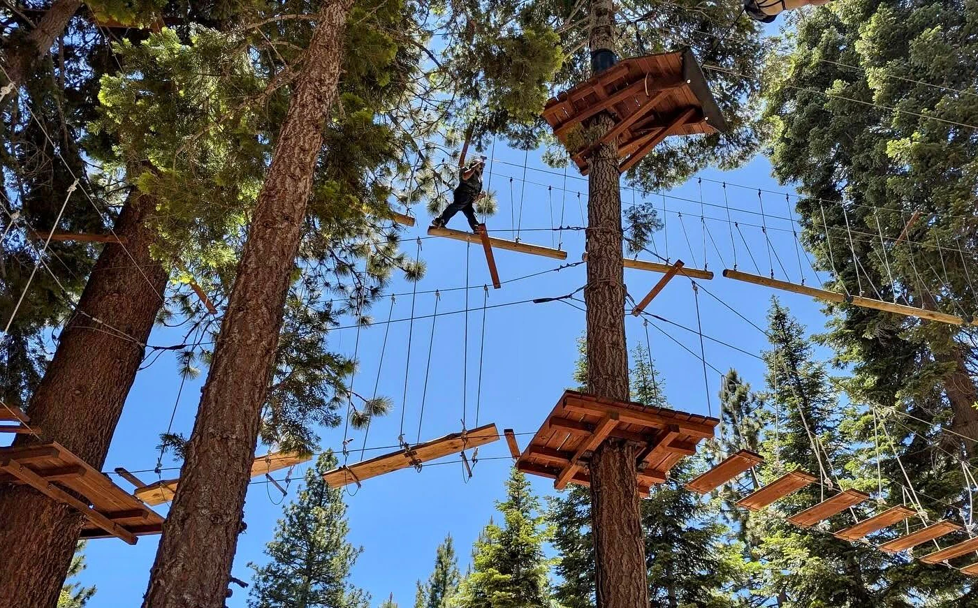 Treetop 3.jpeg