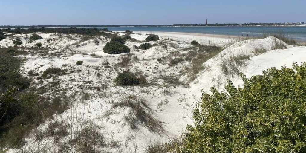 smyrna-dunes-park-001