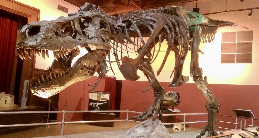 santa-barbara-museum-of-natural-history-002