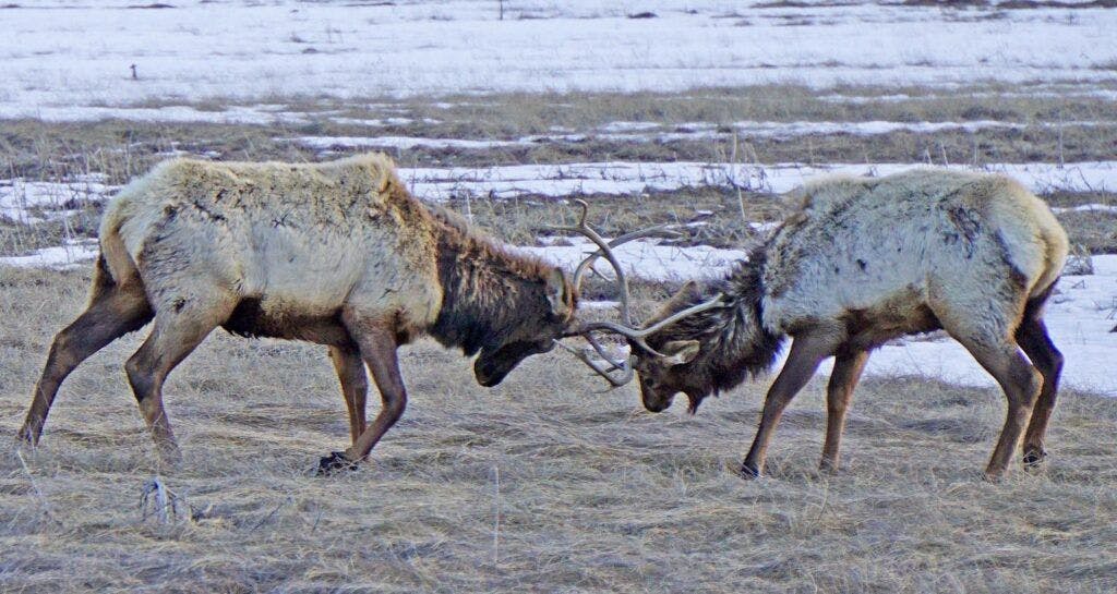 swaner-preserve-and-ecocenter-003