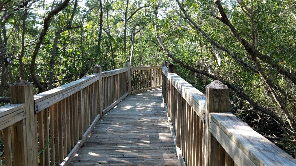 the-nature-conservancy-blowing-rocks-preserve-003