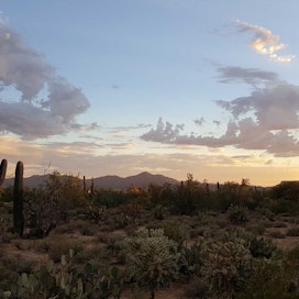 Your Guide to Visiting Tucson, Arizona