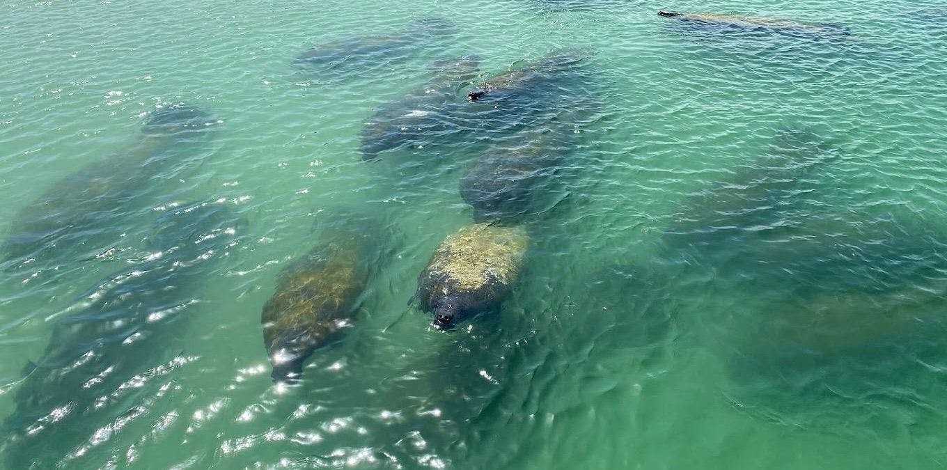 CoastLine 2.jpeg