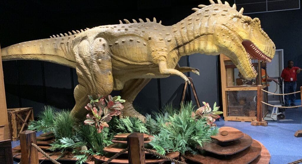 museum-of-discovery-and-science-002