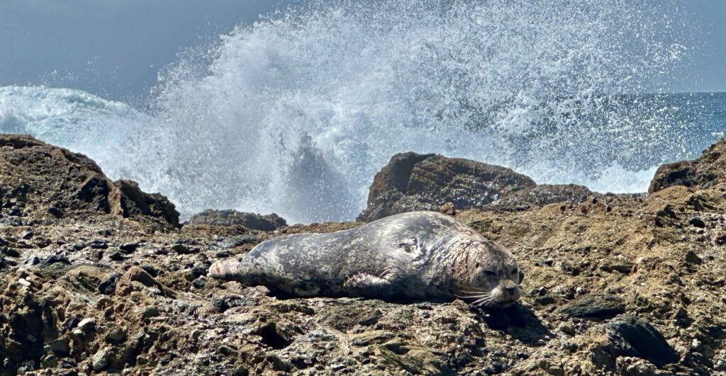 1000-steps-beach-003