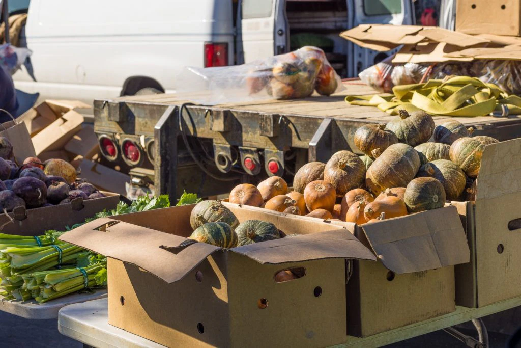 arcata-plaza-farmer-s-market-005