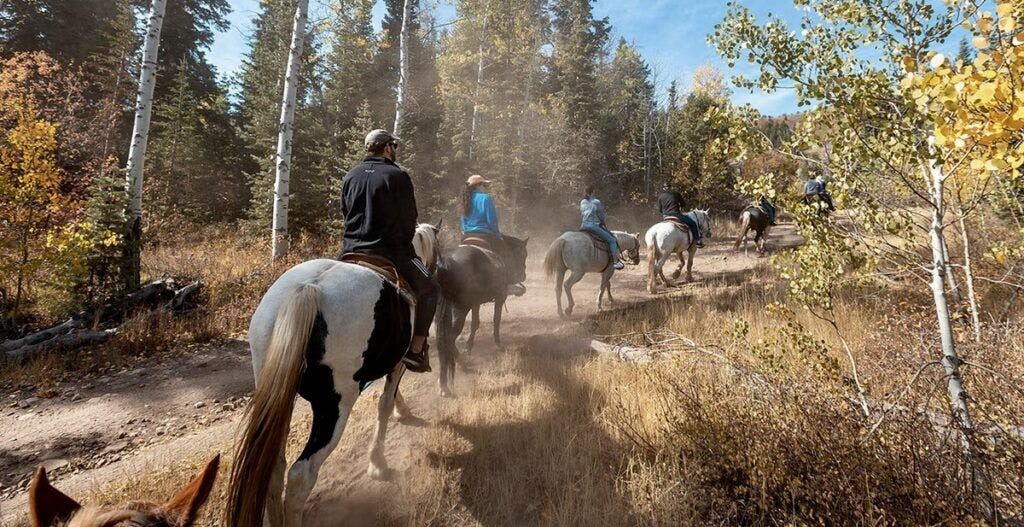 red-pine-adventures-002