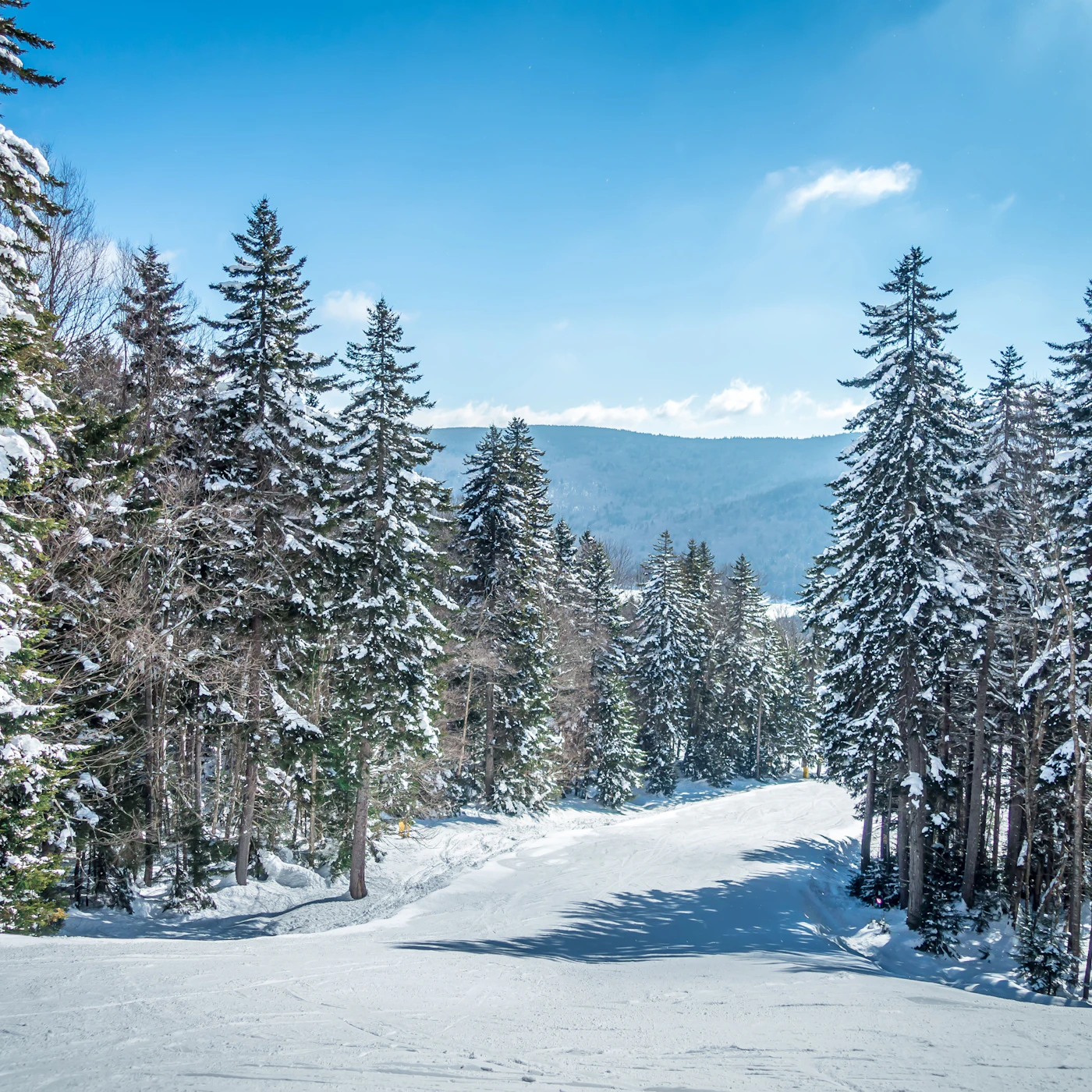 Snowshoe-Winter-adb-asset.jpeg