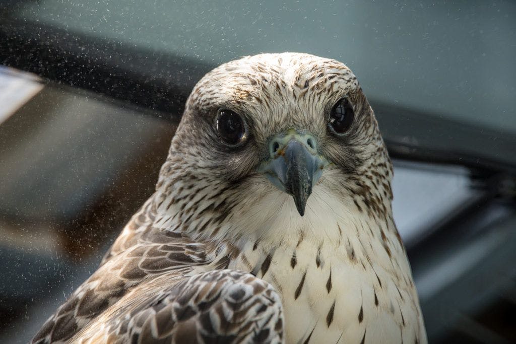 sunriver-nature-center-and-oregon-observatory-001