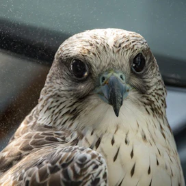 Sunriver Nature Center & Oregon Observatory