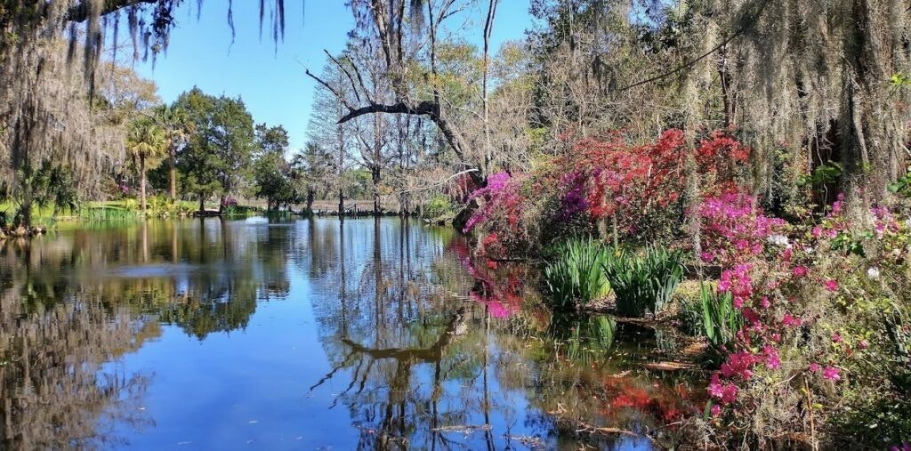 magnolia-plantation-and-gardens-002