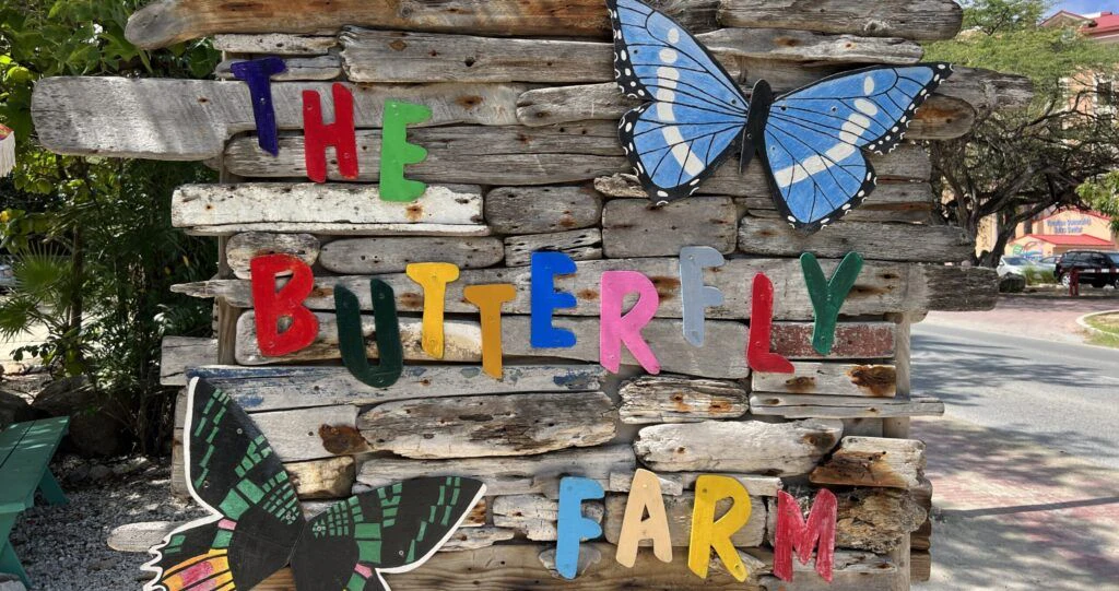 butterfly-farm-002