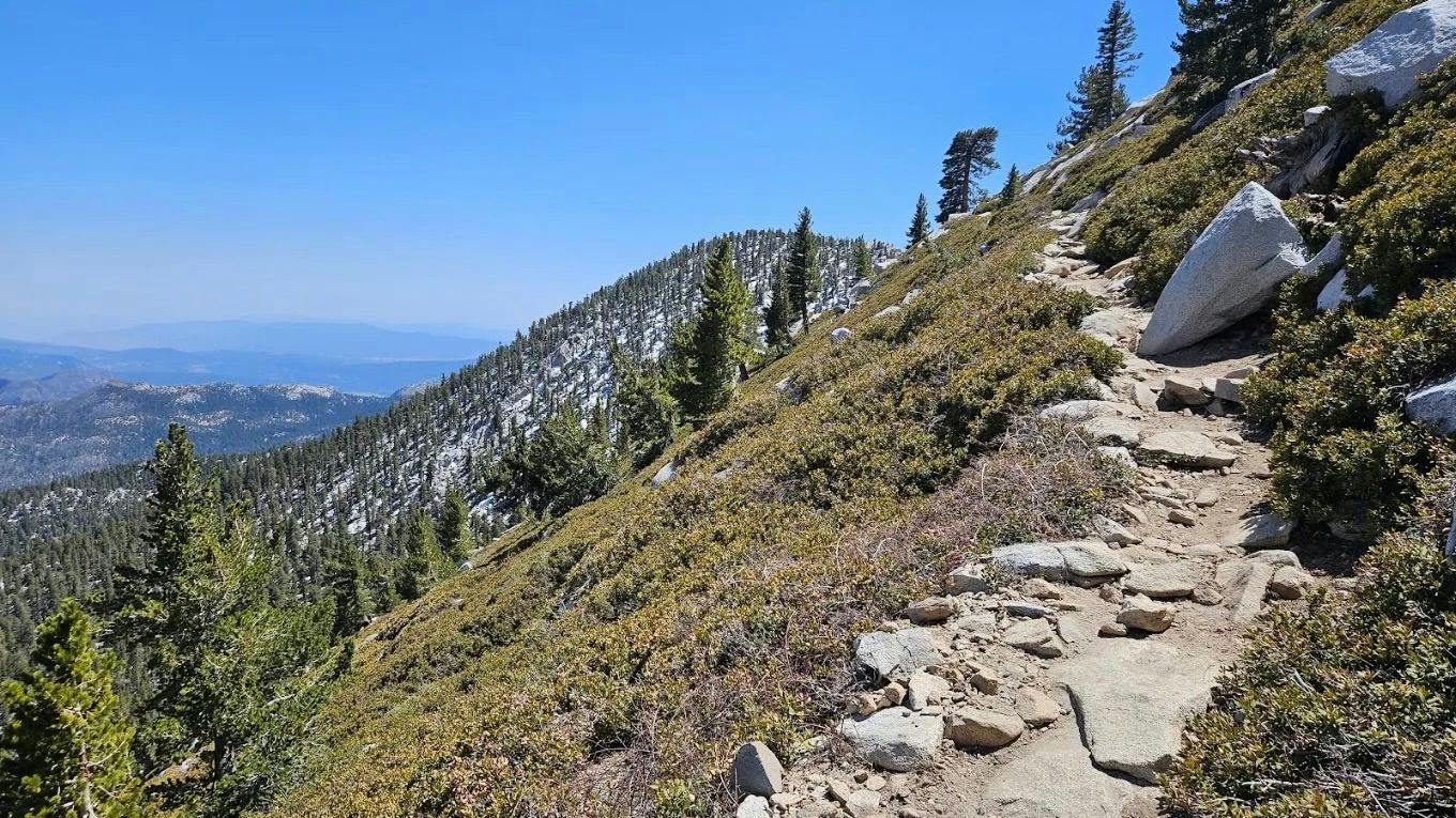 Cactus to Clouds Trail