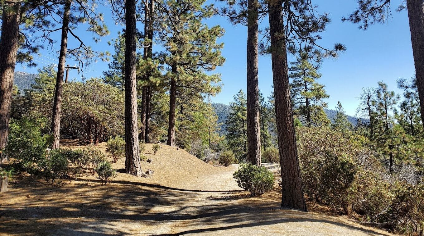 Deer Springs Trail 4.jpeg